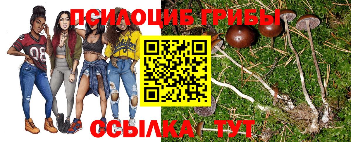 Новосибирск  Псилоцибиновые грибы мухоморы  Вход с VPN 